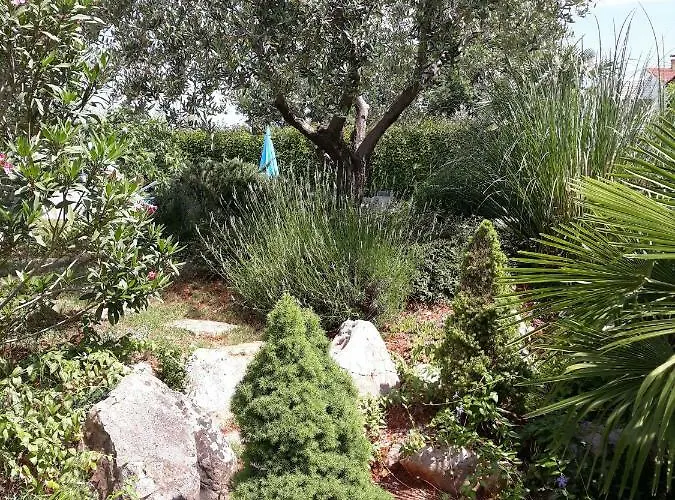 Ana Marija Apartments